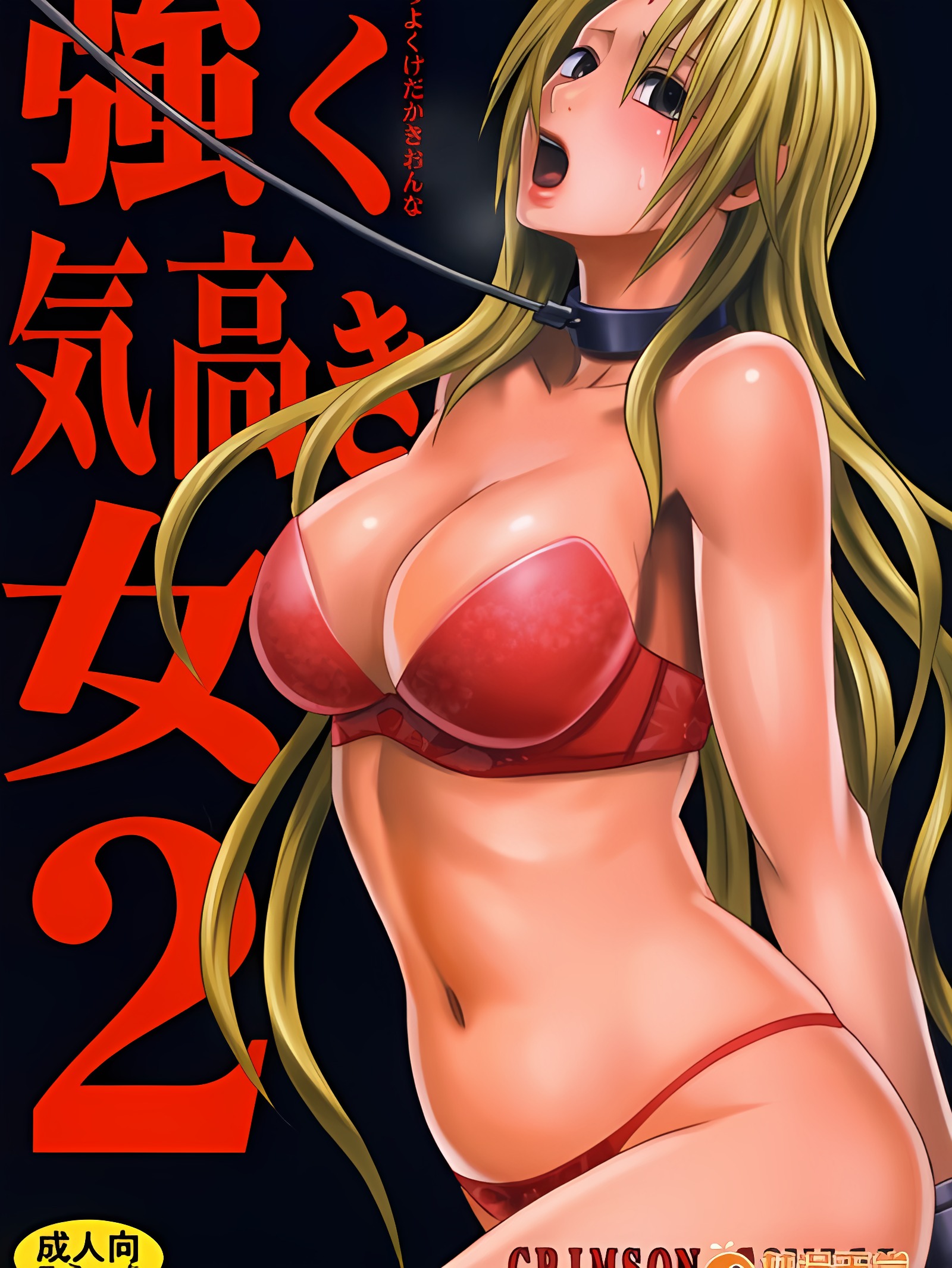 强气高傲的女子2